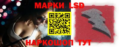 гидропоника Дубна