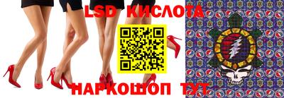 амф Донской