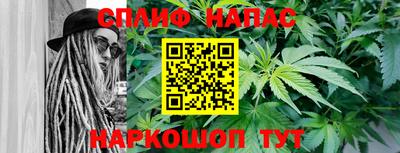 гидропоника Дубна