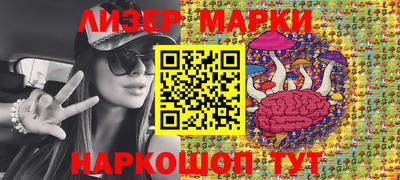 гидропоника Дубна