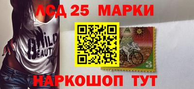 гидропоника Дубна