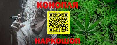 гидропоника Дубна